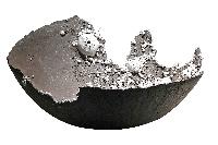 F. Ardini

terraglia e porcellana

2010